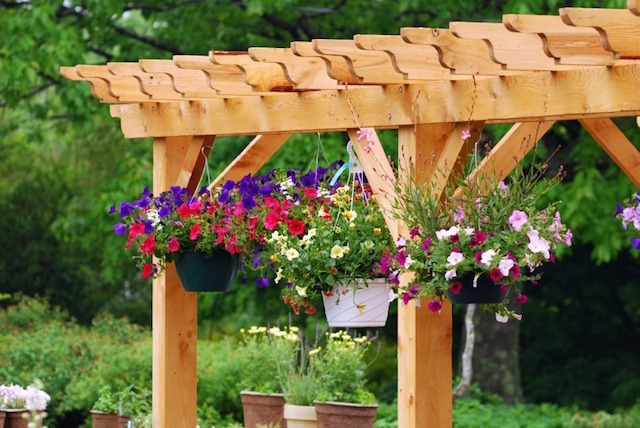 cascading flowers for hanging baskets