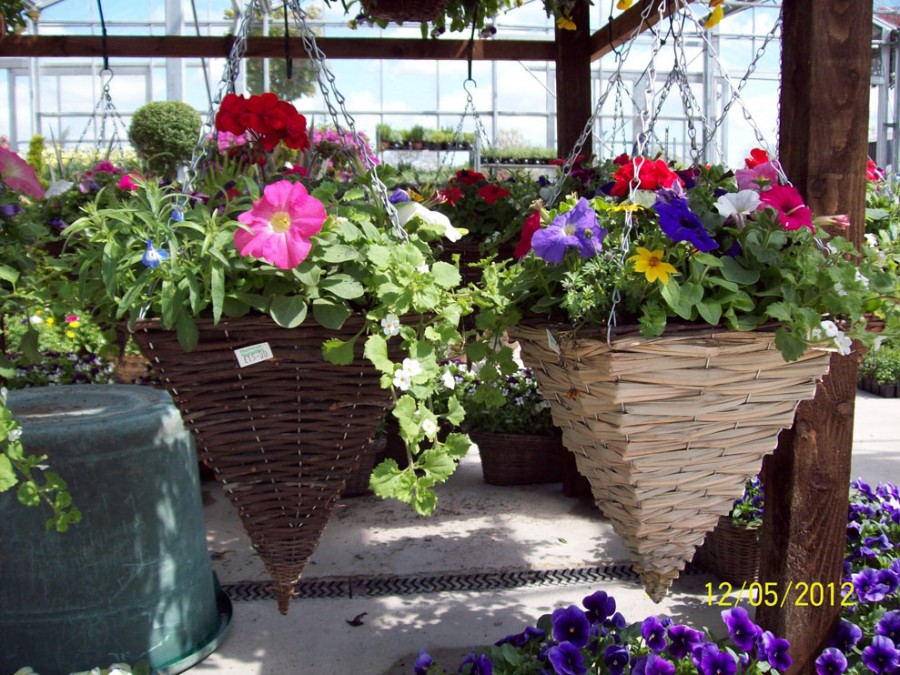 ready made hanging baskets ideas