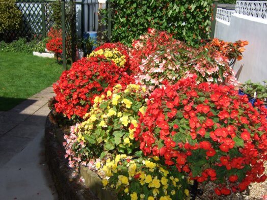 Contemporary Stainless Steel Hanging Basket Brackets