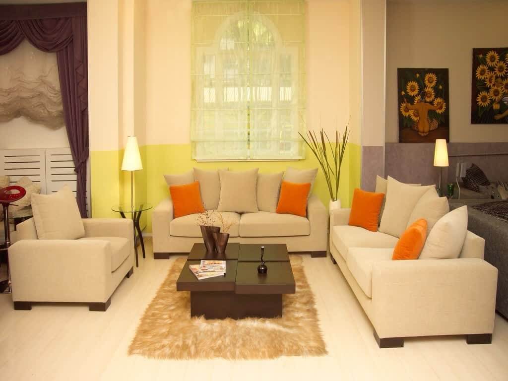 60 Feng Shui Living Room Decorating Tips With Images