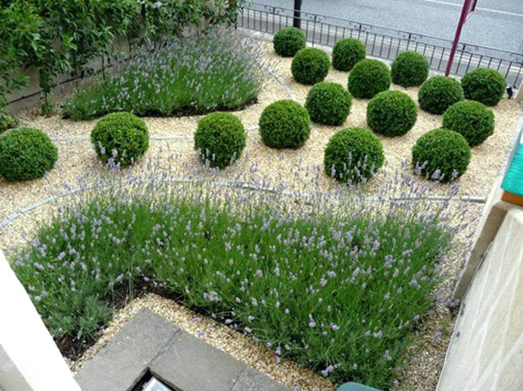 Front Garden Ideas With Gravel