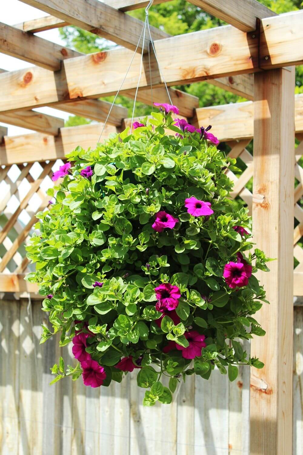 Wall Hanging Baskets For Plants