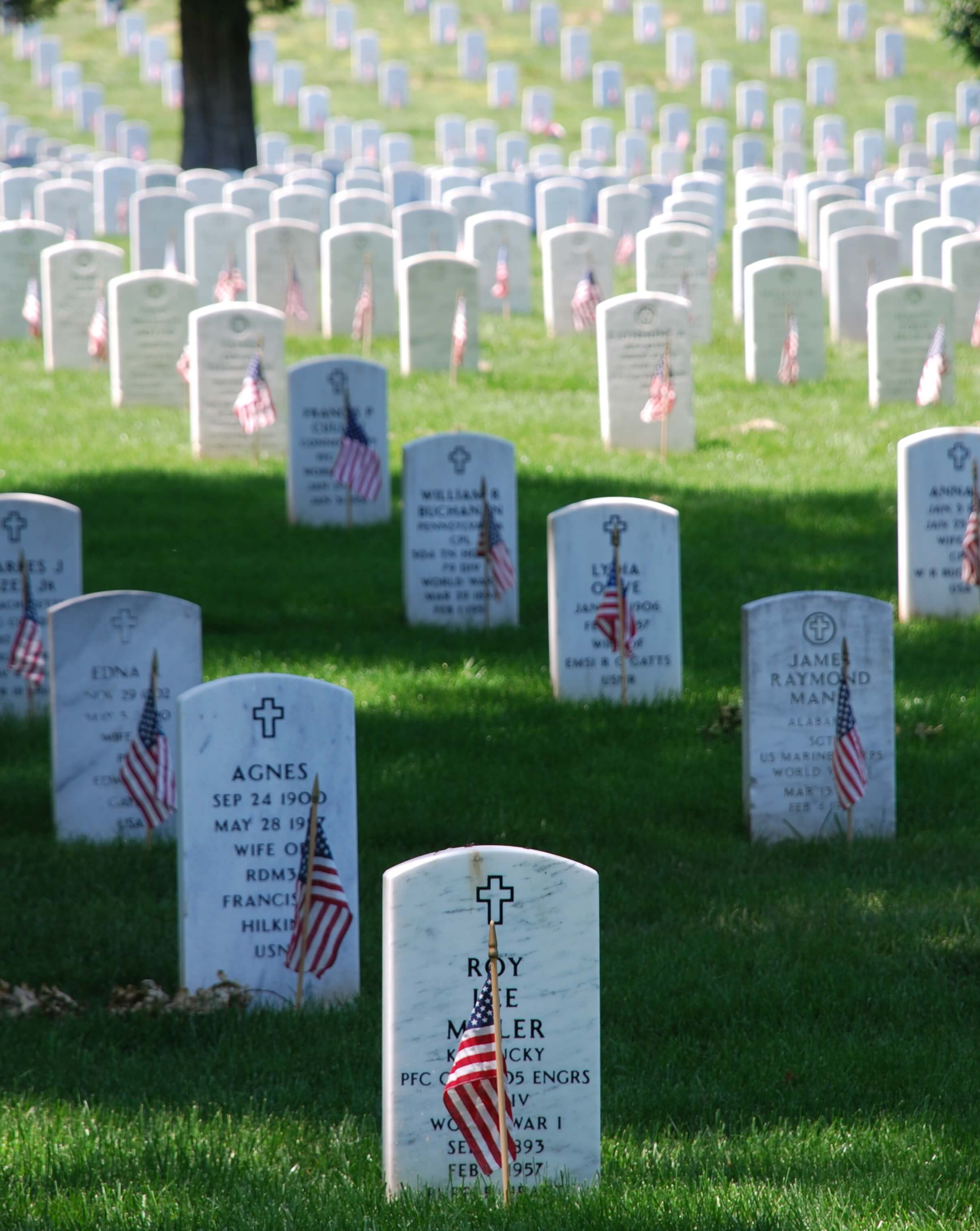 Graves at Arlingt on Memorial Day