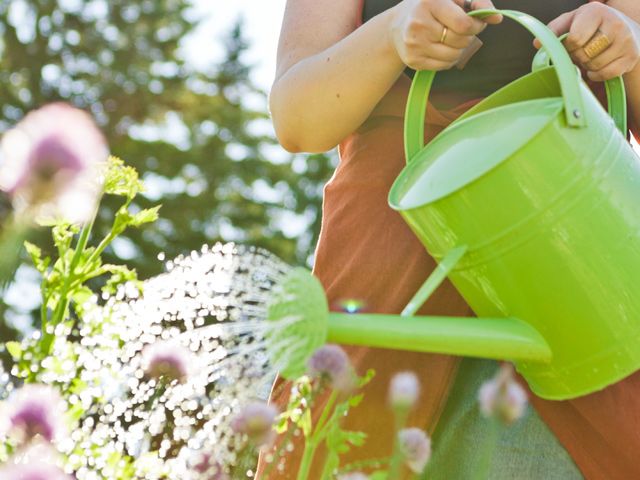 Home maintenance tips for summer