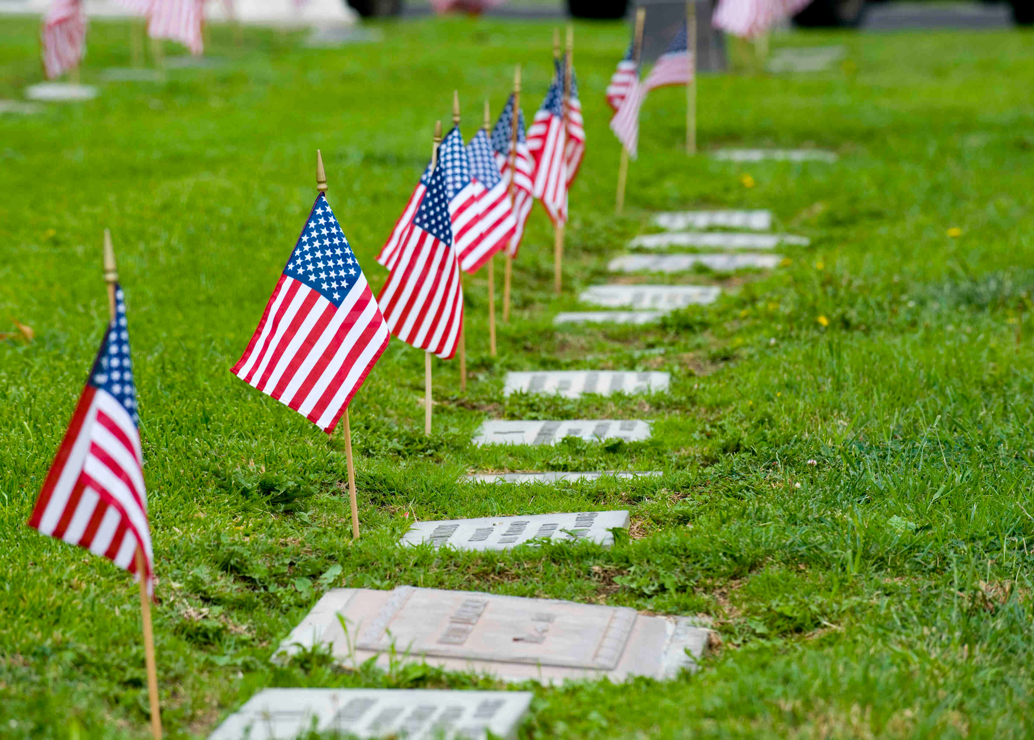 memorial day grave flowers