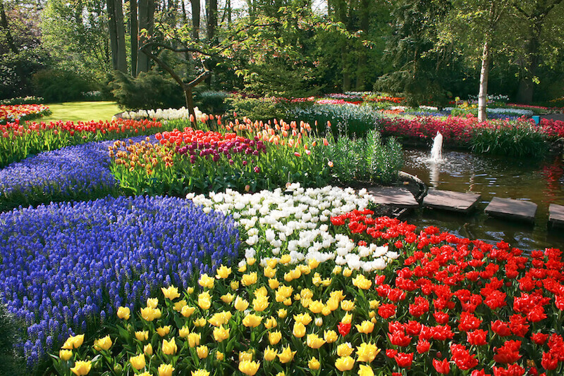 Flower garden ideas