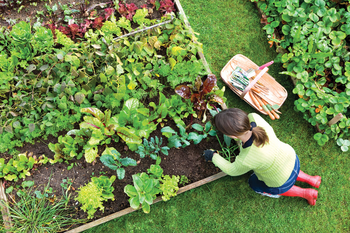 asda home and garden sale