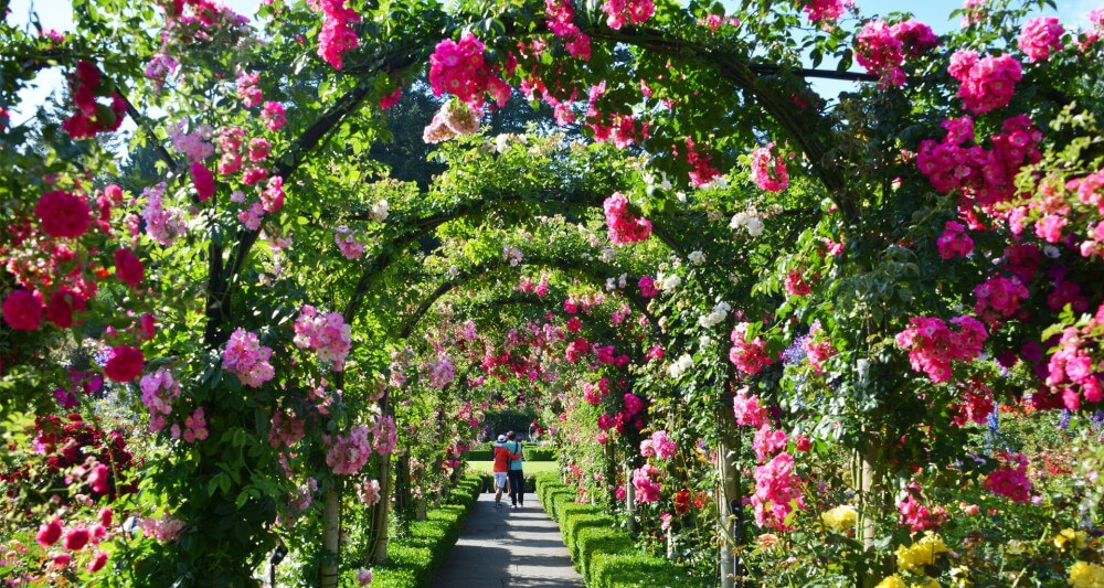 beautiful-arch-rose-garden-ideas