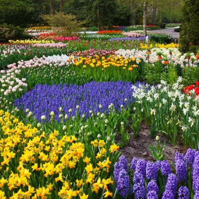 beautiful-flower-garden-designs