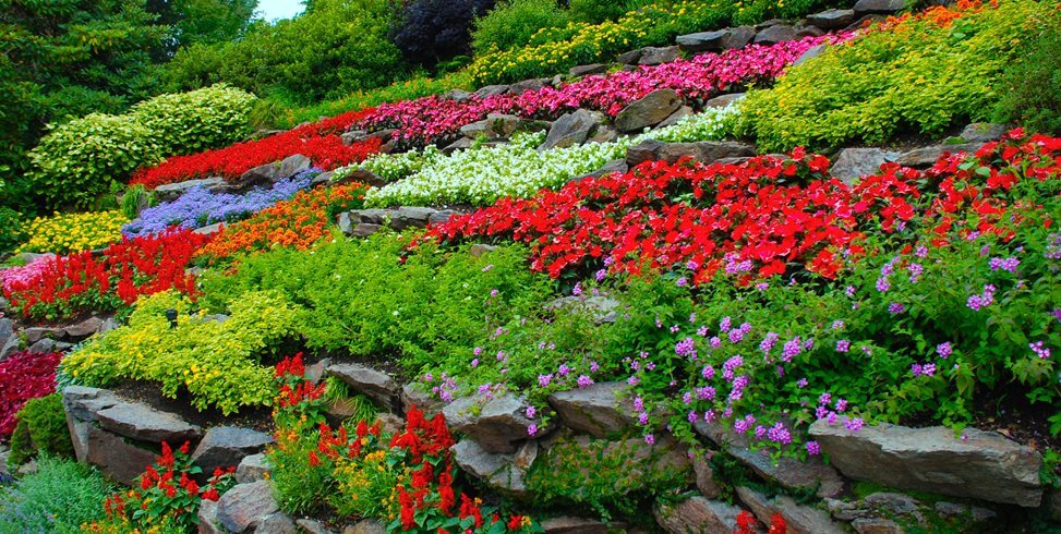 beautiful flower garden ideas