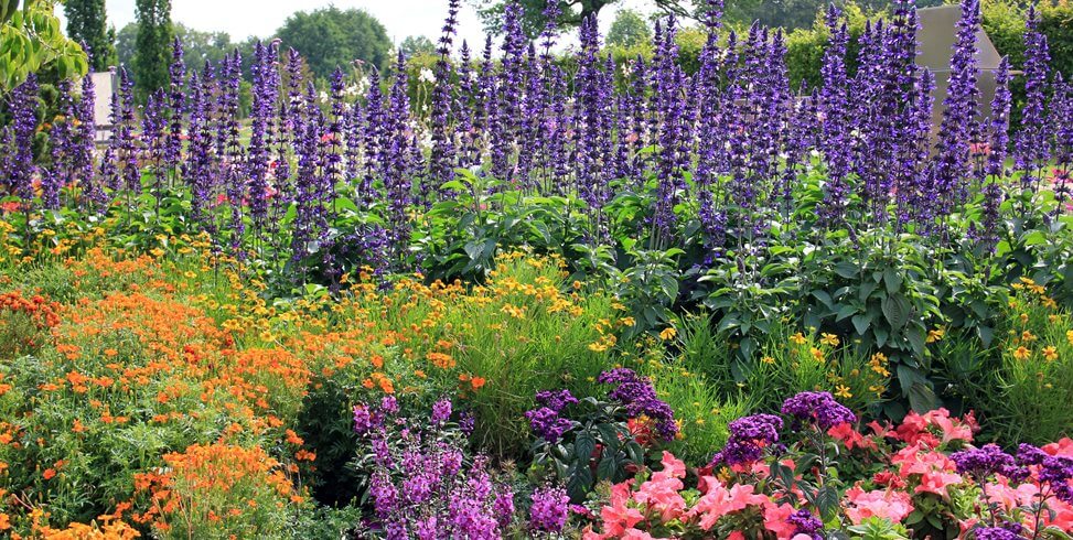 garden flowers ideas uk