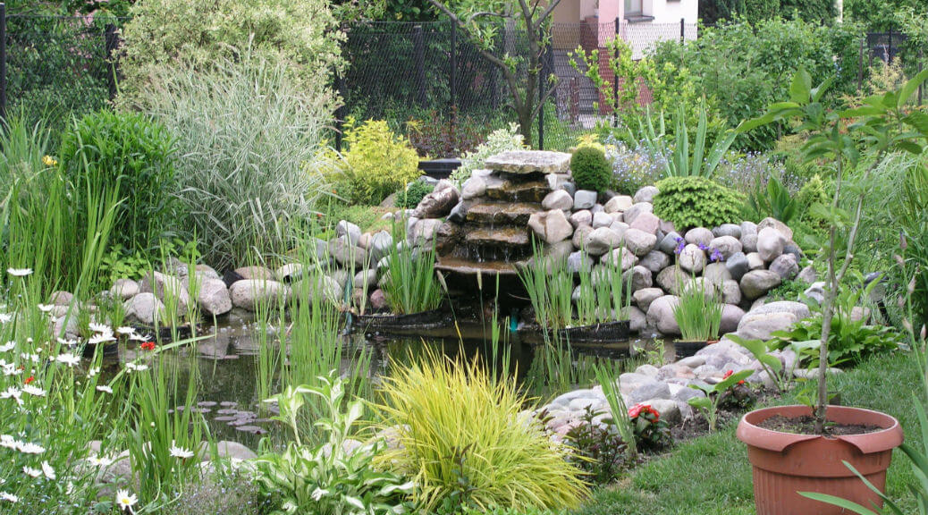 garden-pond-designs