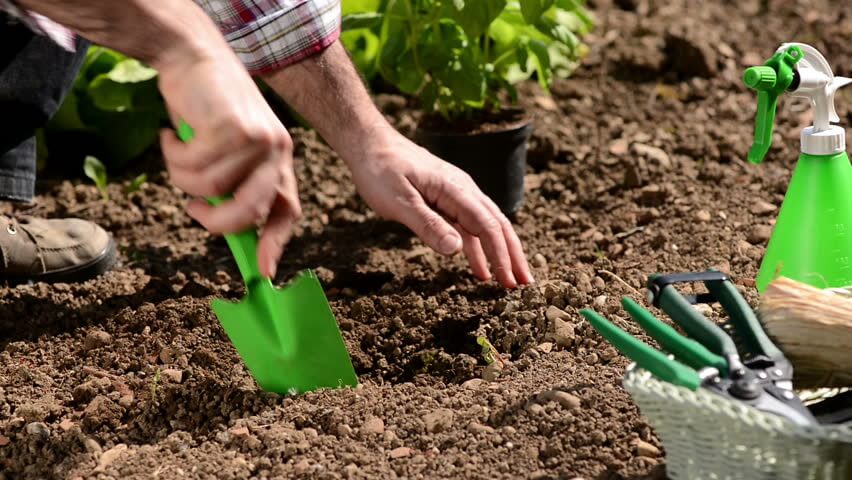 garden tools