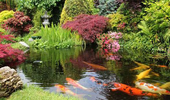 garden water features ideas