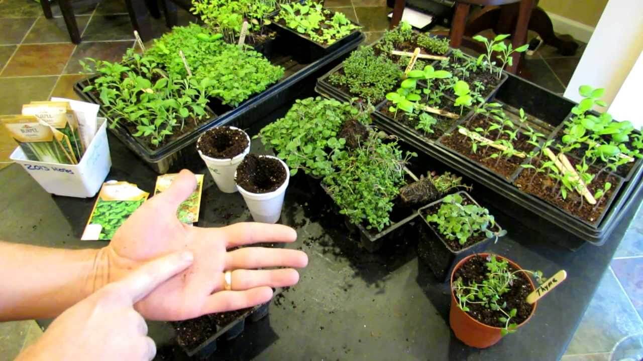 herb garden planter