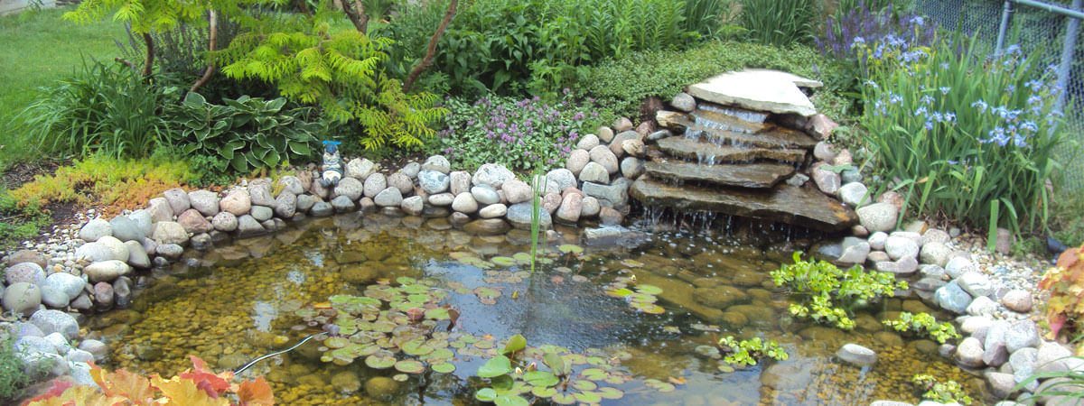 koi water garden