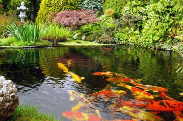 large garden water features