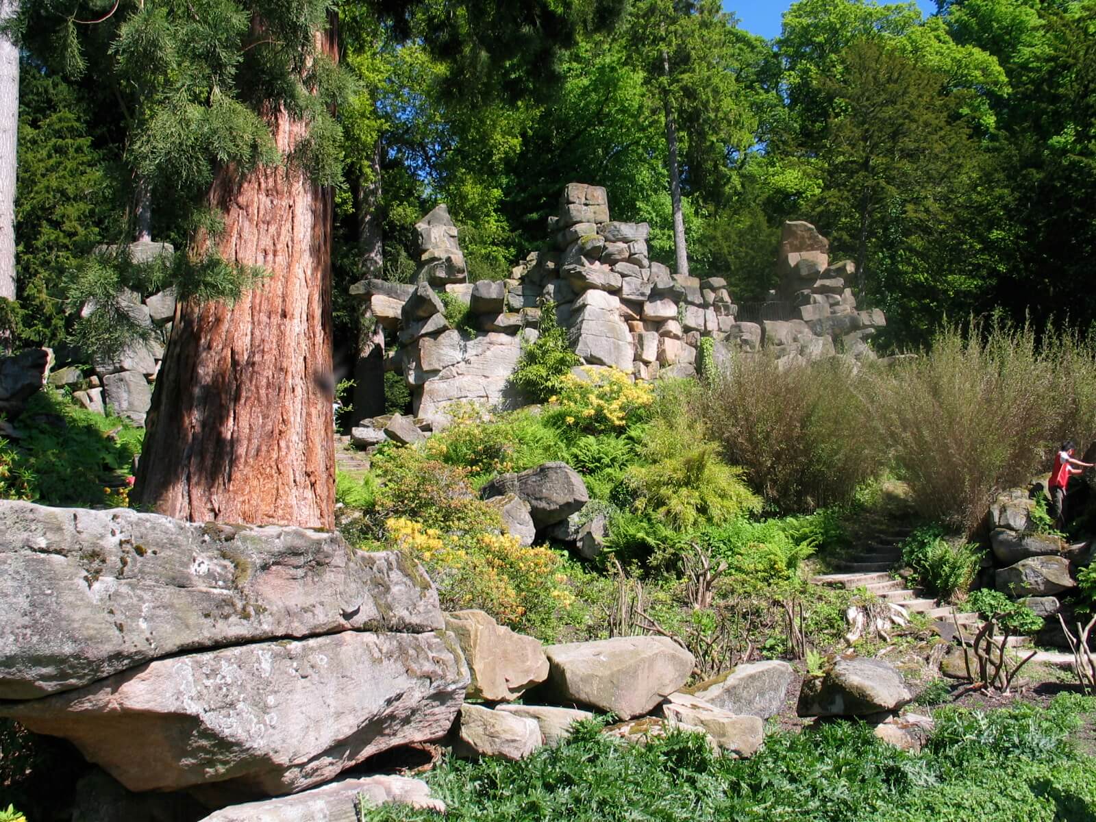 magic aqua rock gardens