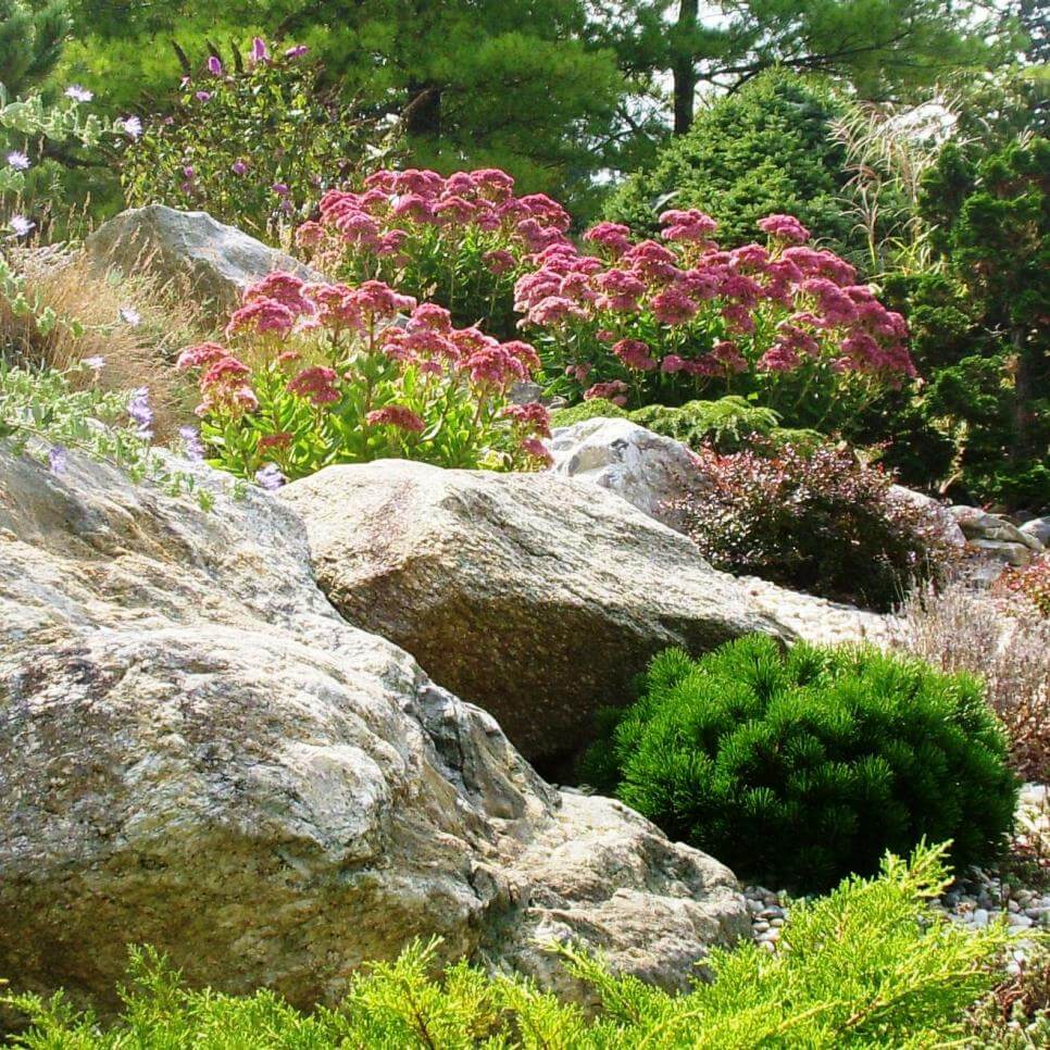 rock garden design ideas