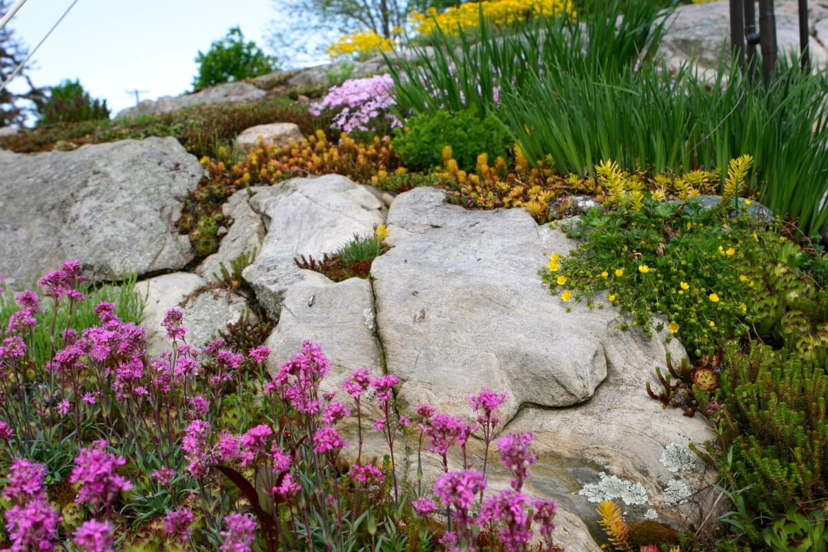 rock garden ideas