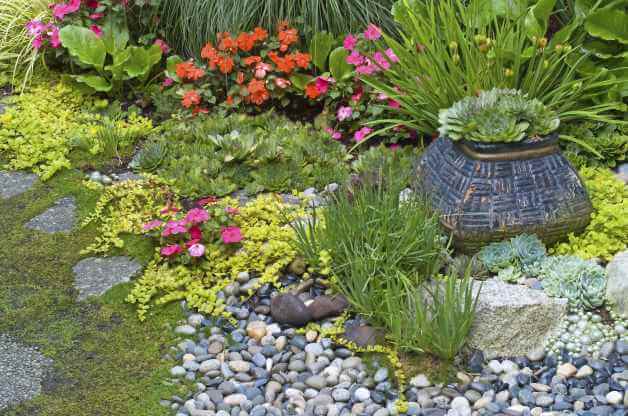 rock garden torquay