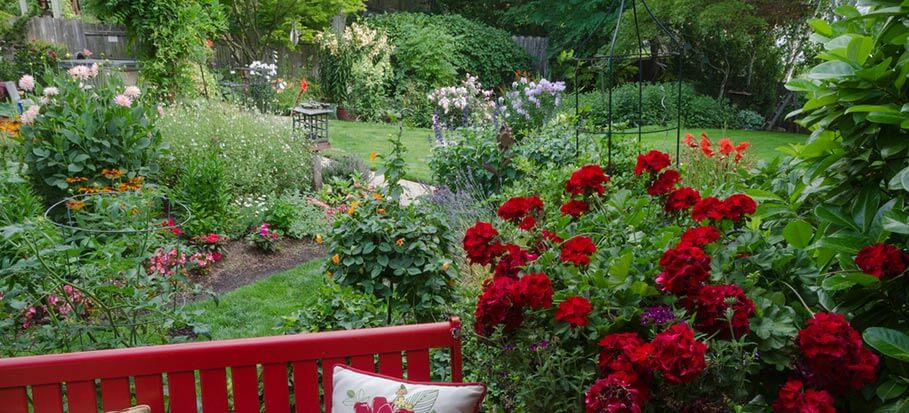 shade-garden-and-shade-garden-plants