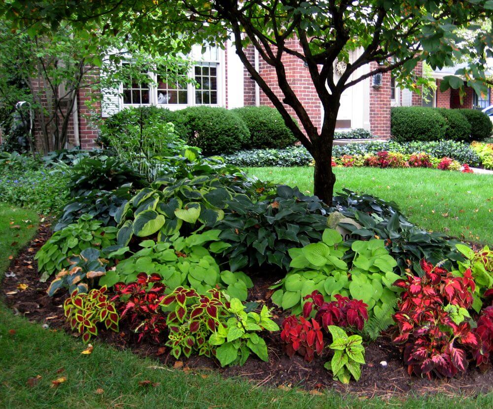 shade garden design