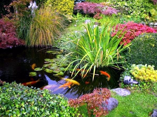 stapeley water gardens