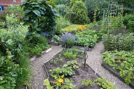 the secret herb garden