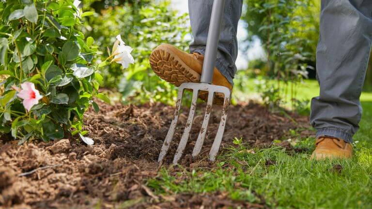 wolf garden tools b&q