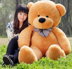 Different Teddy Bears Ideas for Gift Item with Images