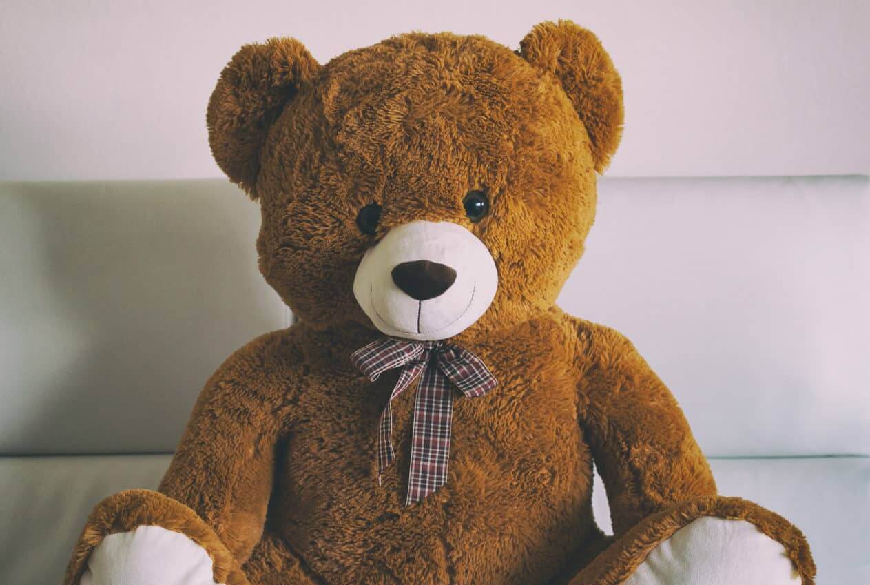 brown-teddy-bear-with-camera-inside