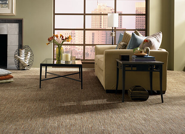 Berber Carpet Pros And Cons