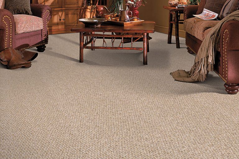 Berber Carpet Comfort And Durability Fit Your Living Room