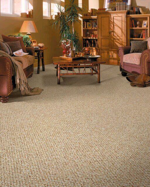 Beige Berber Carpet