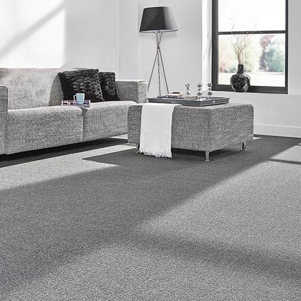 Grey Carpet Living Room 2022